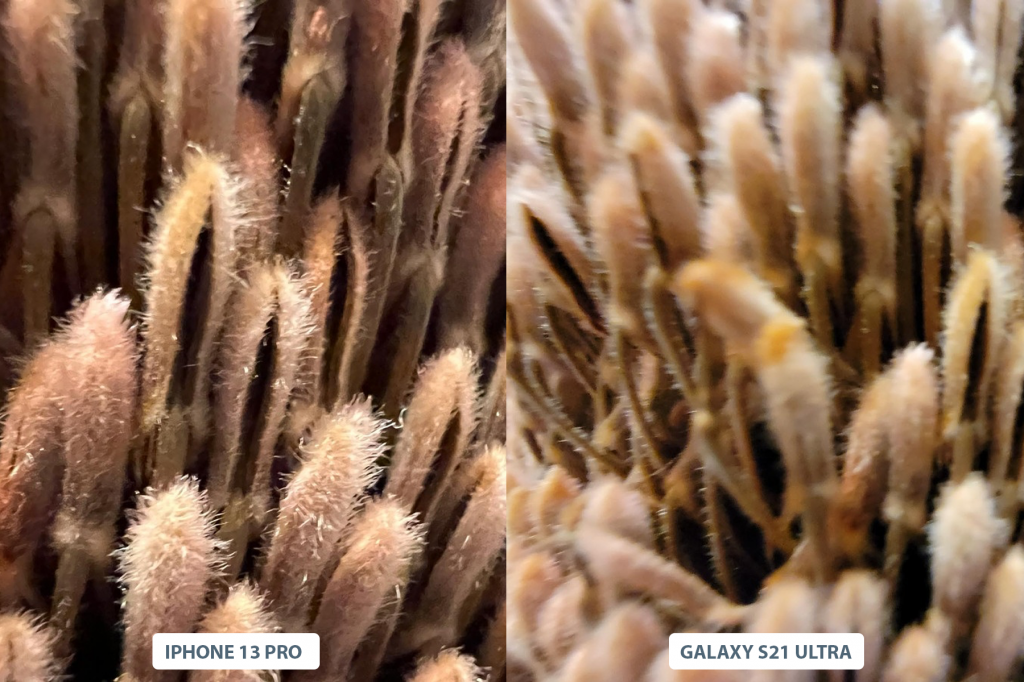 камера iphone 12 pro 13 pro