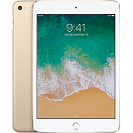 iPad mini 4