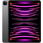 iPad Pro 12,9 6gen